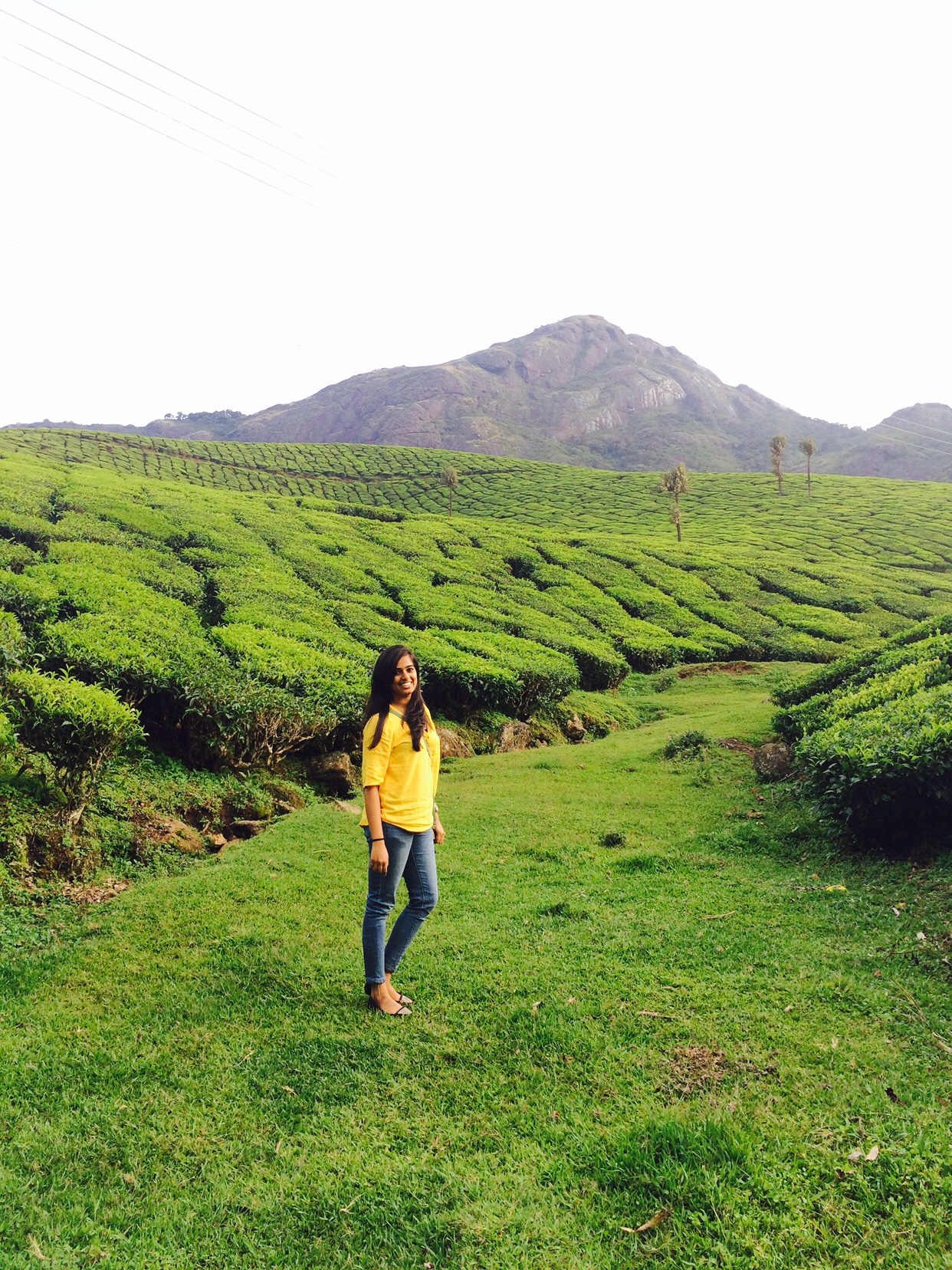 Suryanelli The then land of no Sun! "Iridescent Ink"