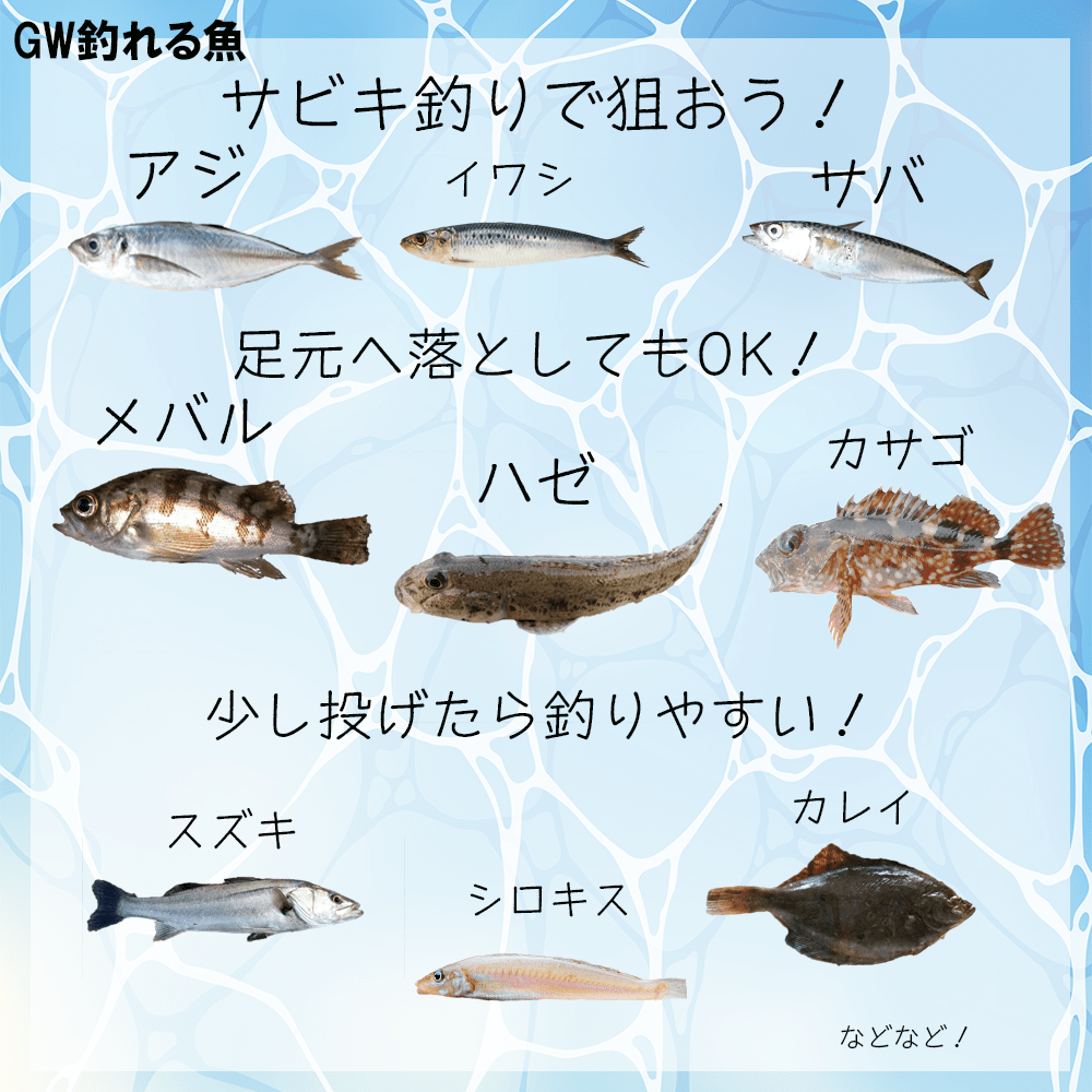 Gw オススメ レジャー 釣り サカナシティ