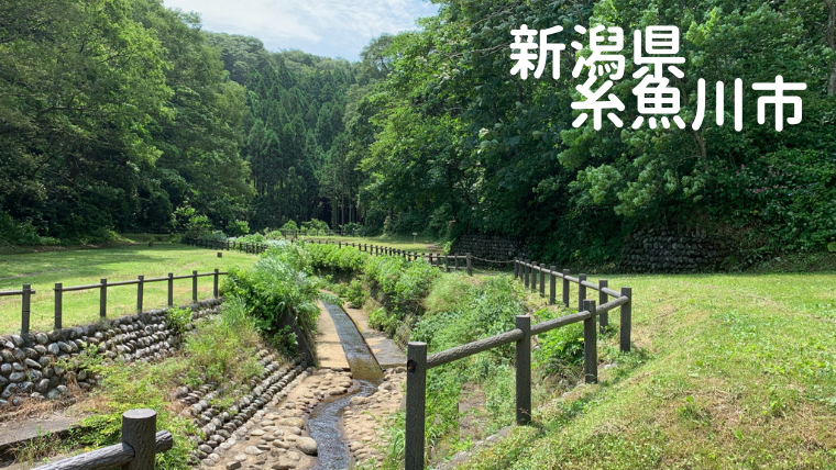 【海とカニを満喫！】荒崎キャンプ場レポート｜ランダムウォークキャンプ