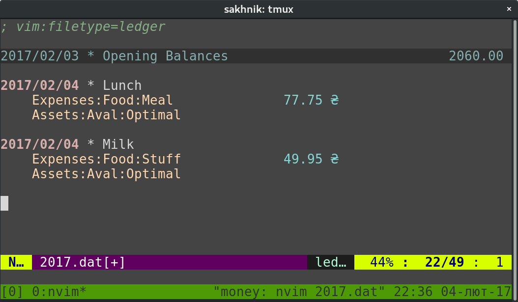 Plain text accounting with ledger