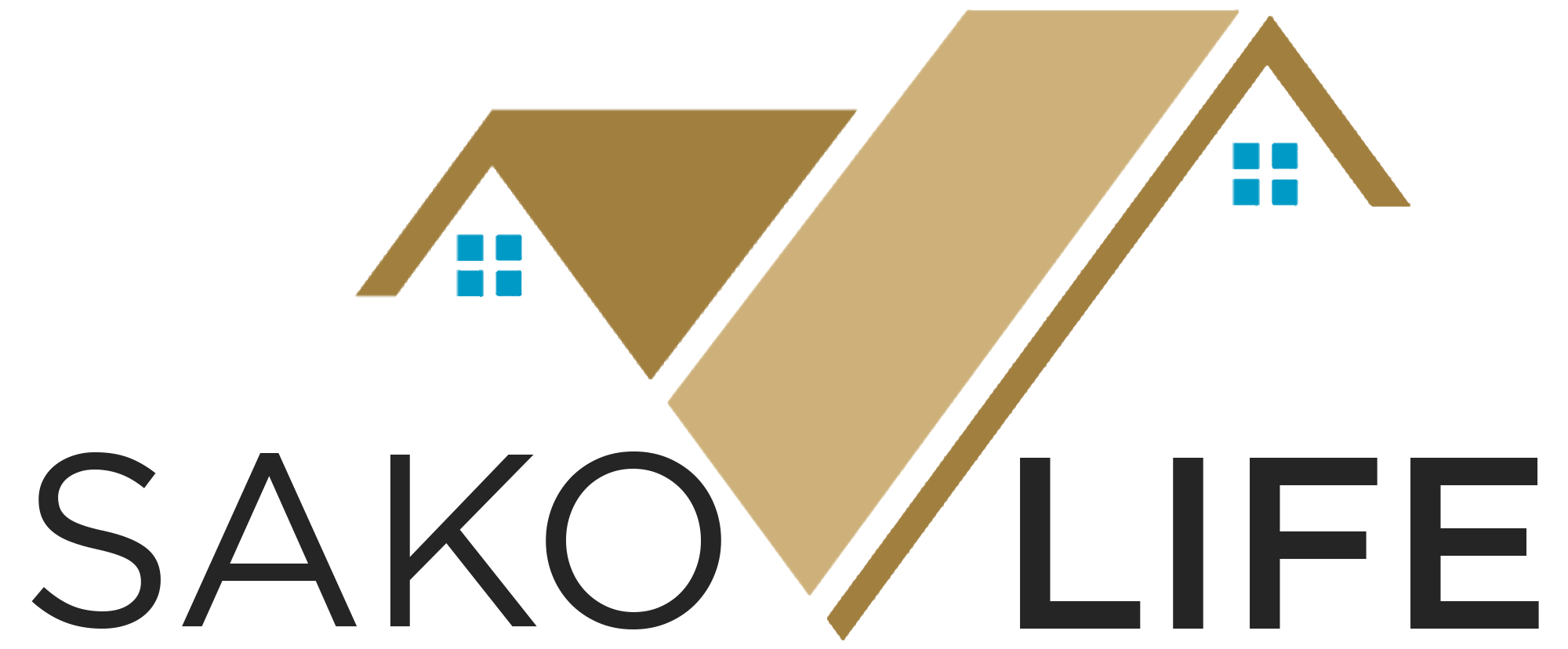 Magdy Aya SakoLife Real Estate