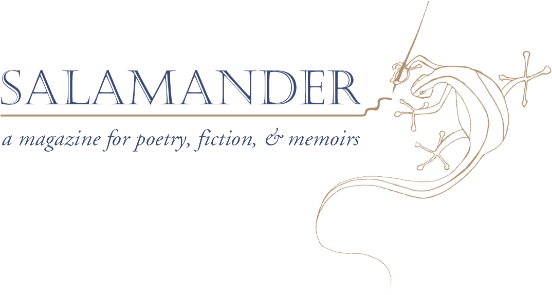 If Men Had Wings Page 4 Salamander Magazine