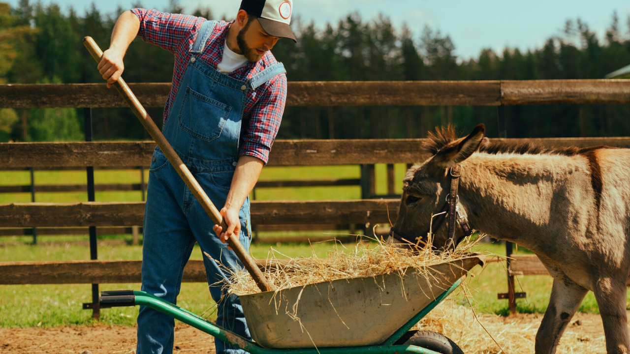 7 Top Farm Jobs And Careers Ranked By Employability Salarship