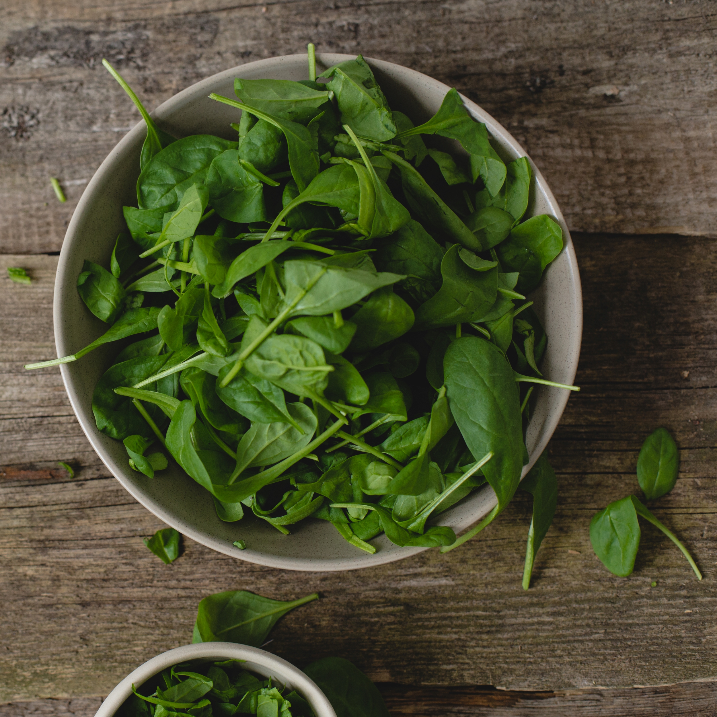 Blattspinat salat.ch