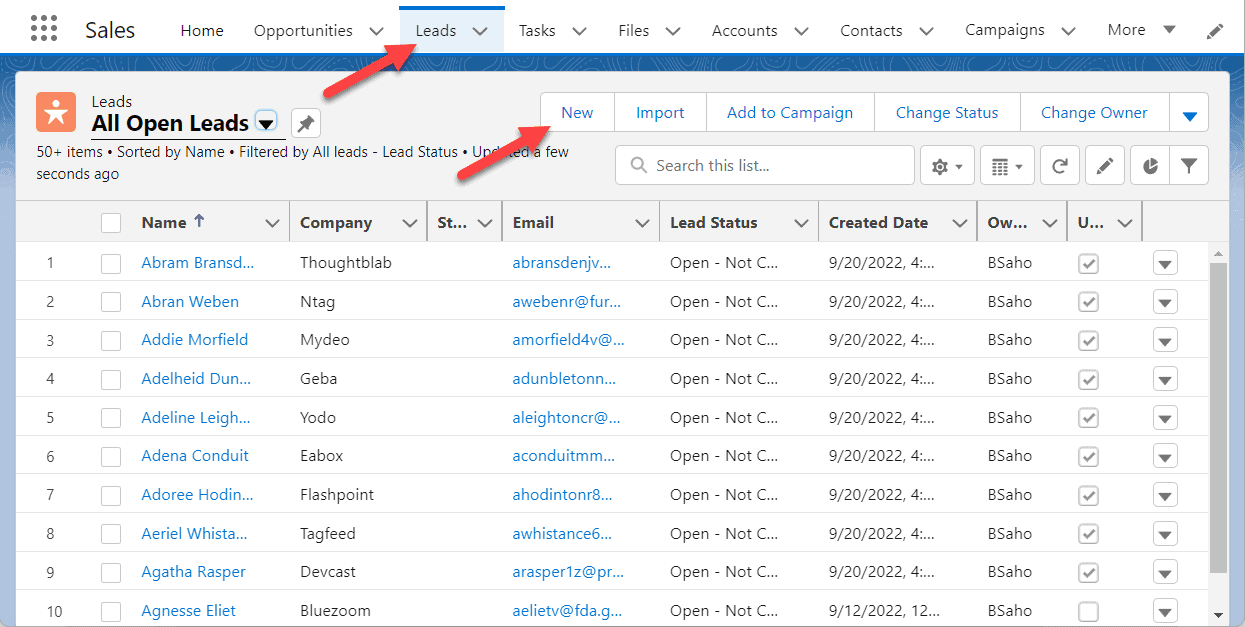 How to Bulk Add Leads in Salesforce SalesForce FAQs