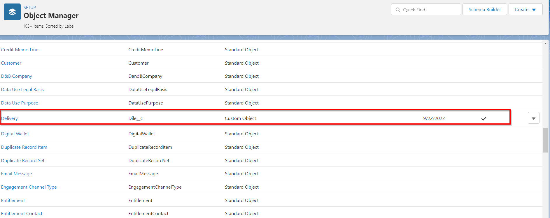 How to Create a Custom Object in Salesforce SalesForce FAQs