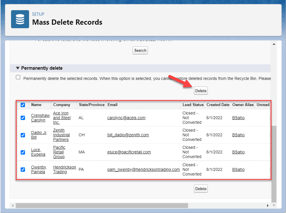 How to Bulk Add Leads in Salesforce SalesForce FAQs