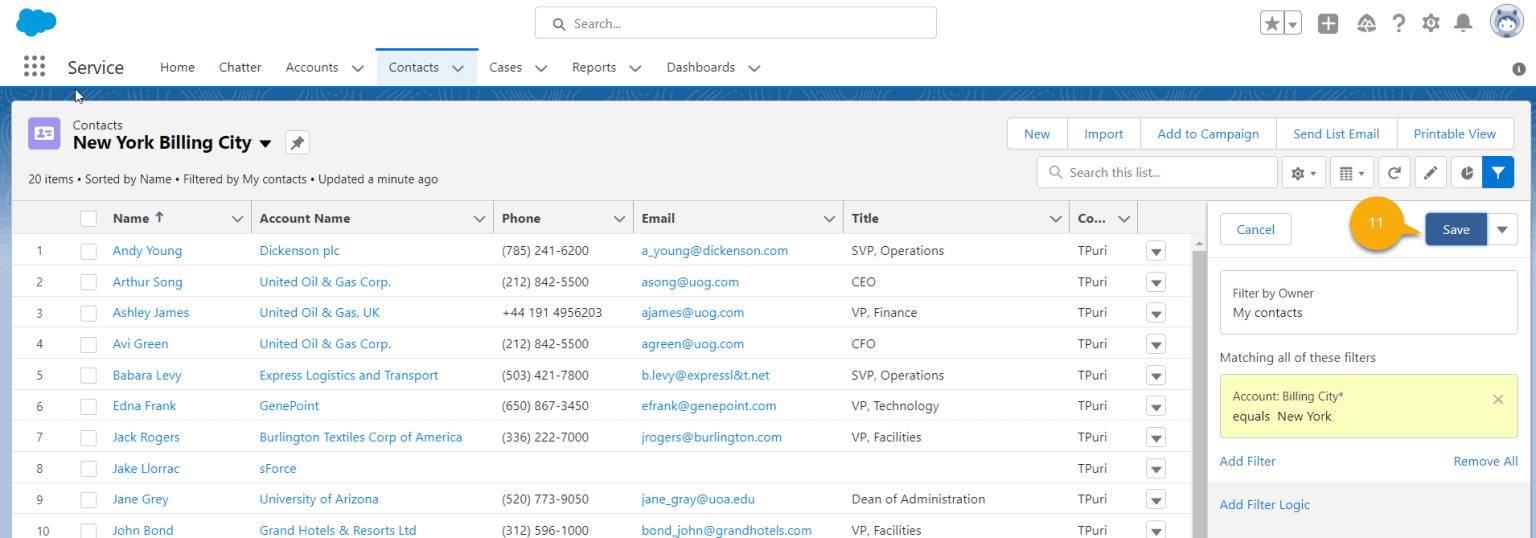 Contact List View in Salesforce SalesForce FAQs