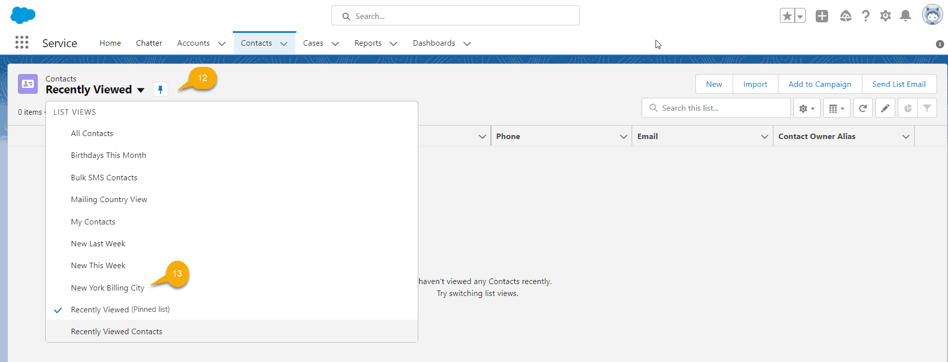Contact List View Salesforce [Lightning and Classic] SalesForce FAQs