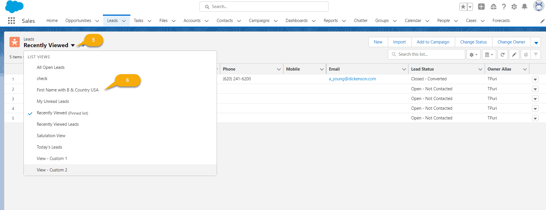 How to create a list view in Salesforce [Lightning and Classic