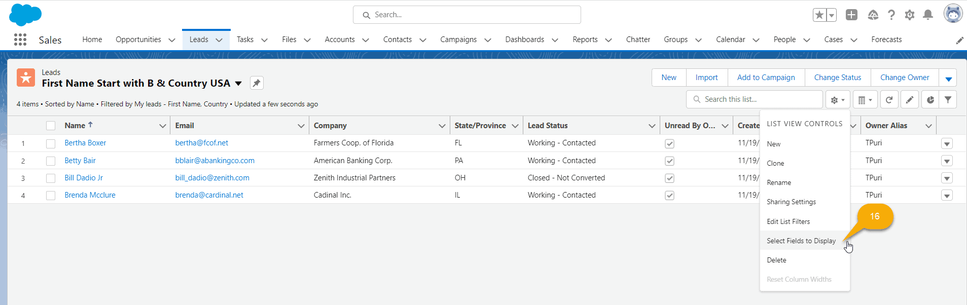 How to Create Custom List View in Salesforce SalesForce FAQs