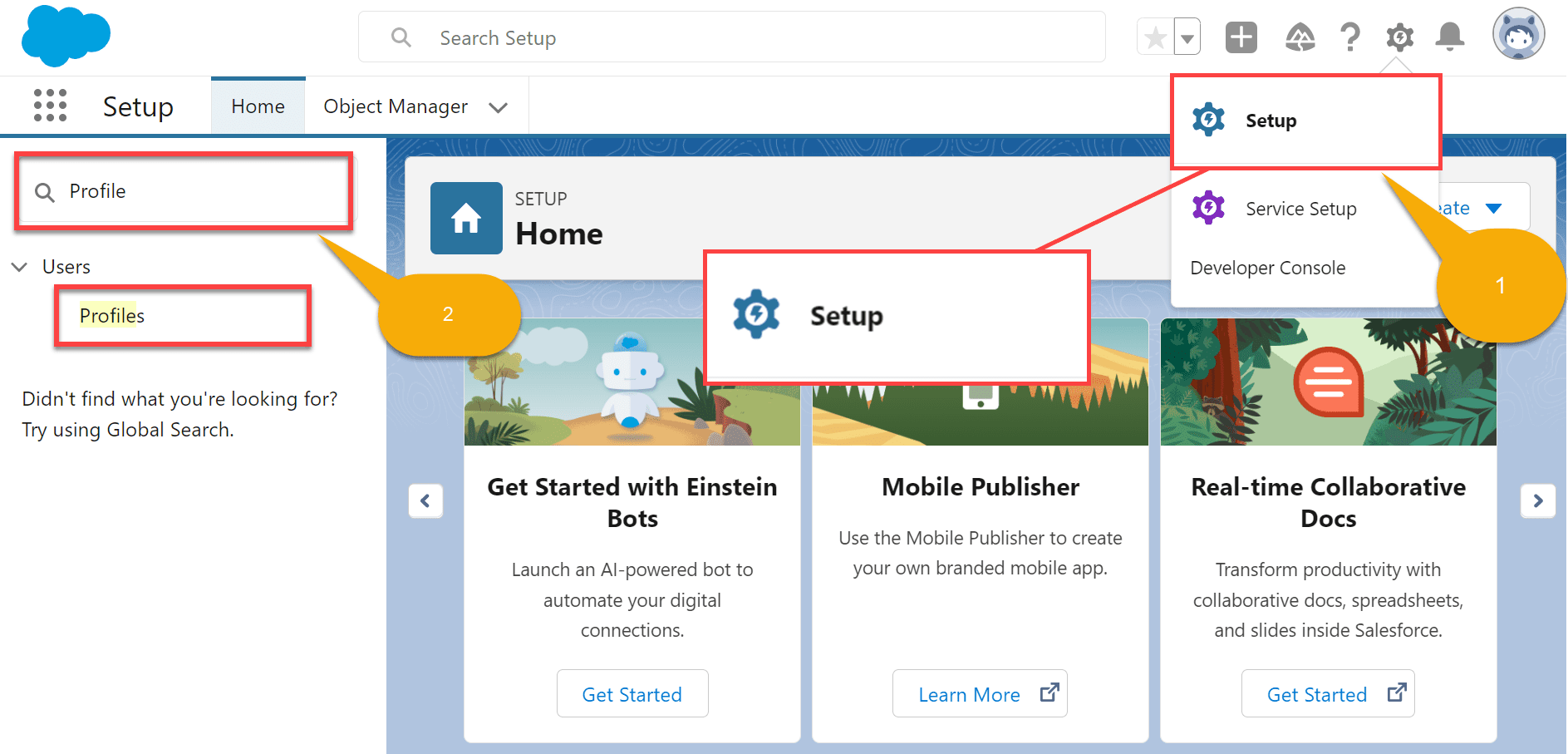 FieldLevel Security in Salesforce SalesForce FAQs