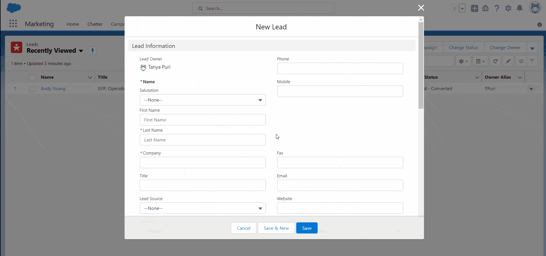 Salesforce Leads SalesForce FAQs