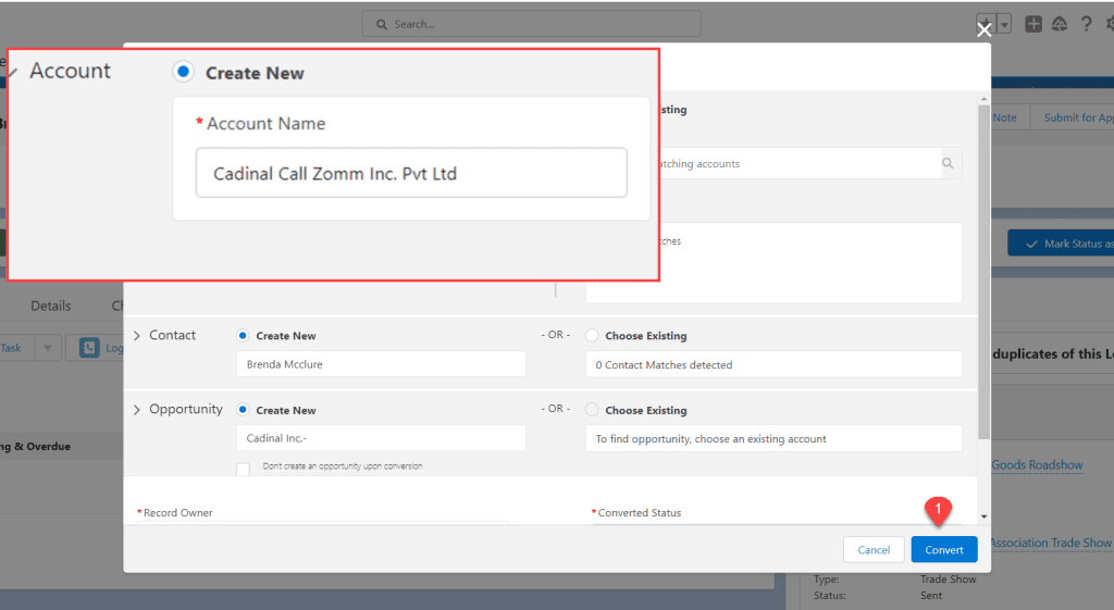 Lead Conversion in Salesforce SalesForce FAQs