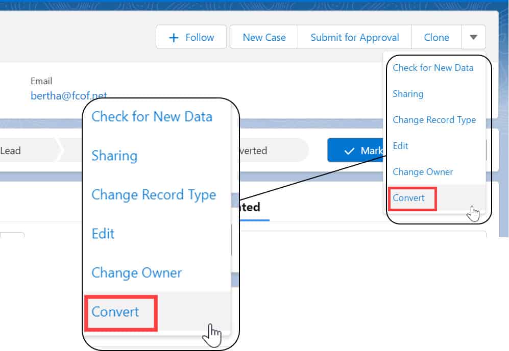 Convert button on lead not visible in Salesforce Lightning SalesForce