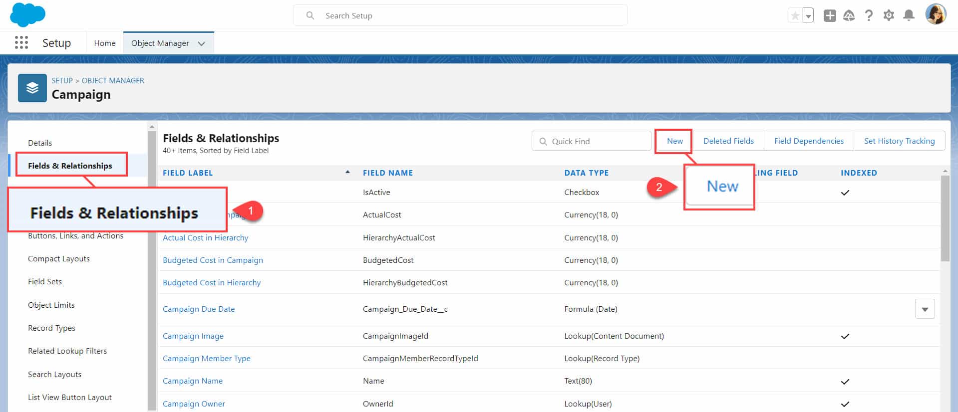 Custom Picklist Field in Salesforce SalesForce FAQs