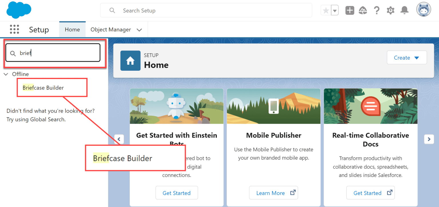 How to Create Briefcase Builder in Salesforce SalesForce FAQs