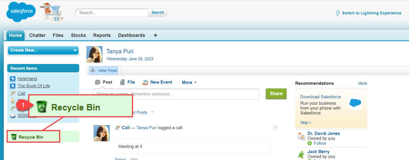 Where is Recycle Bin in Salesforce SalesForce FAQs