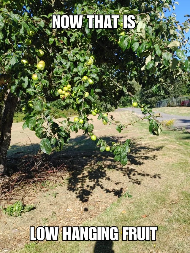LowHanging Fruit Definition Sales Funnel Professor