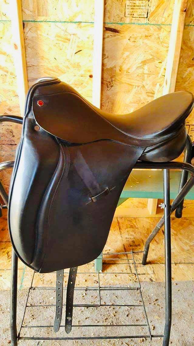 Albion Legend Dressage Saddle Sales Paddock