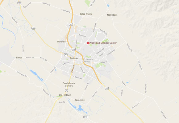 Salinas Pest Animal Removal California