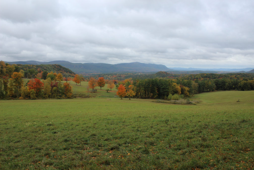 Land Trust—History Salisbury Association Site