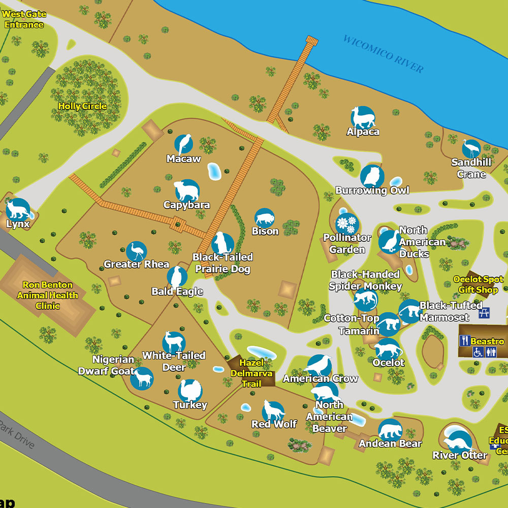 Map Salisbury Maryland Zoo FREE Admission Park