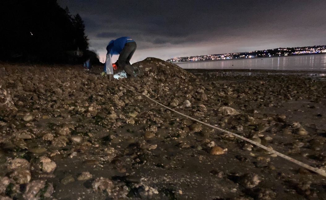 Vashon Glaciation Salish Magazine