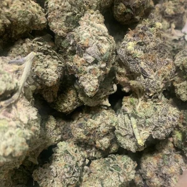 Buy Montego Bay weed strain in Canada at Salish Trails