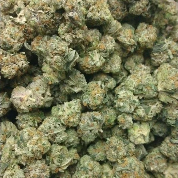 Discovering Exotic Weed Canada An Online Journey