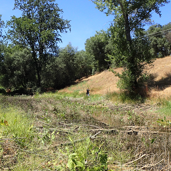 Wetland and Biological Services Salix Consulting, Inc.