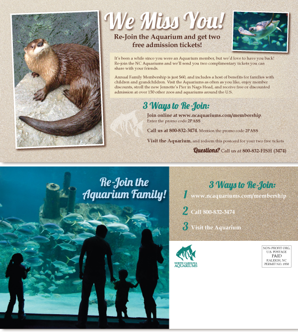 Sally Johns Design + Strategic Marketing Print Media