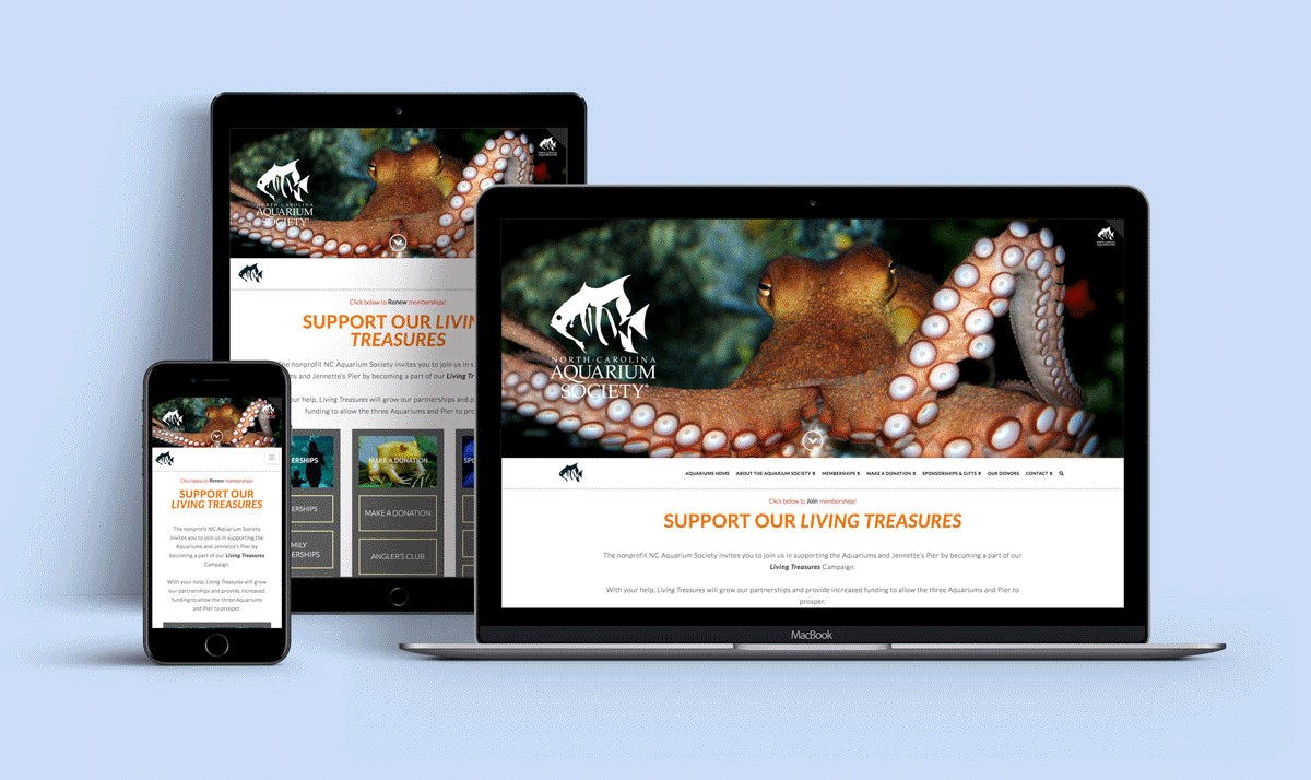 NC Aquarium Society Sally Johns Design