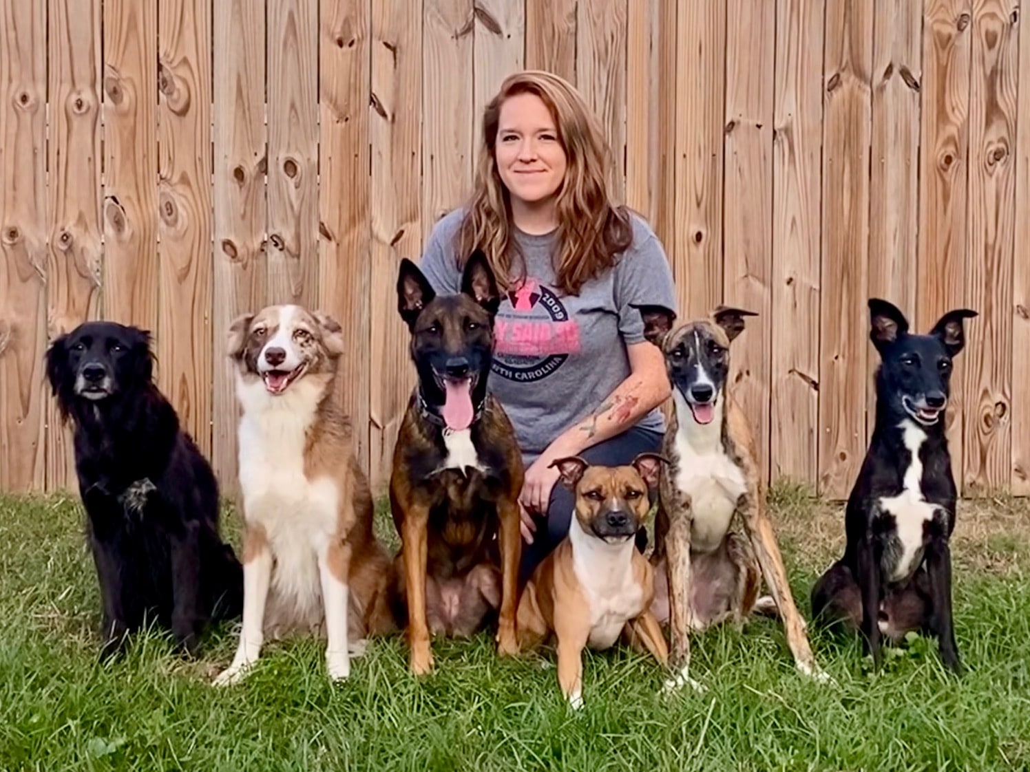 Dog Training Charlotte NC Sally Said So