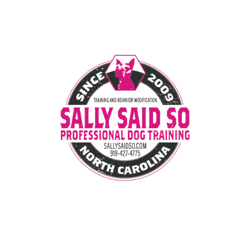 Jacksonville Dog Training Services Raleigh NC Dog Training Sally