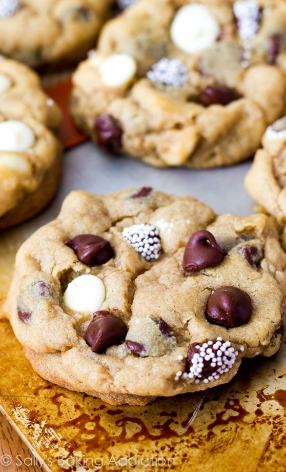 Delicious Sallys Baking Addiction Chocolate Chip Cookies How to Make