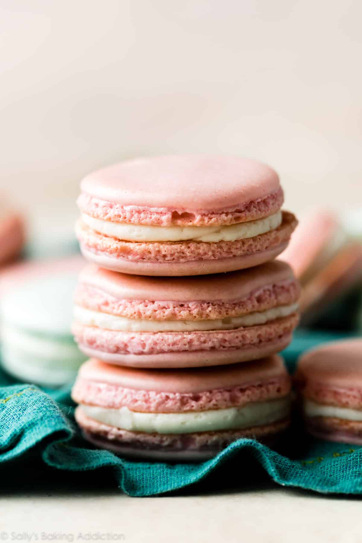 Beginner's Guide to French Macarons Sally's Baking Addiction