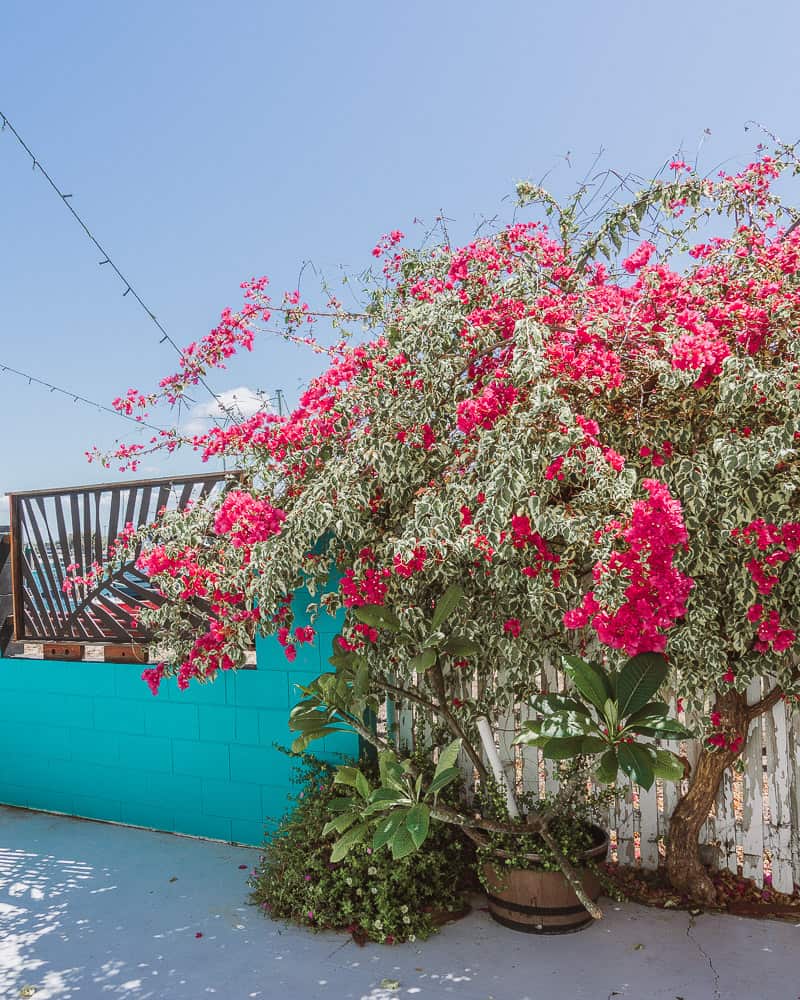 Top 10 Things to do in Bowen, Queensland