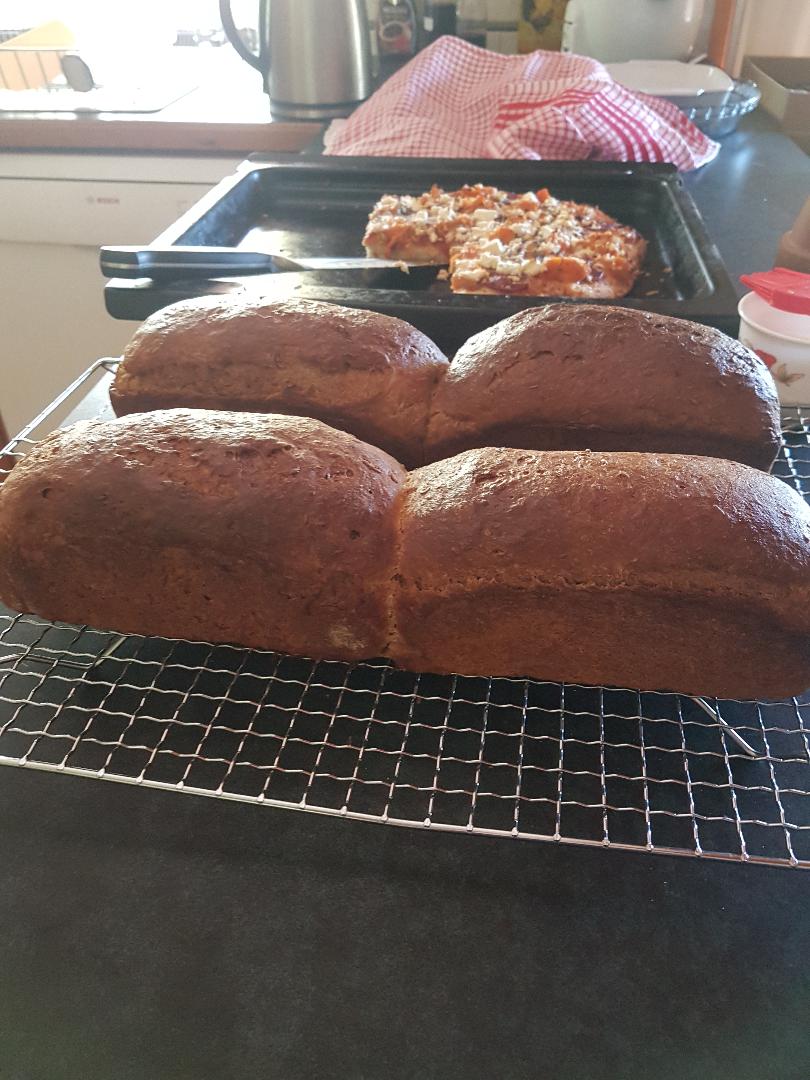 Pumpernickel and Pizza