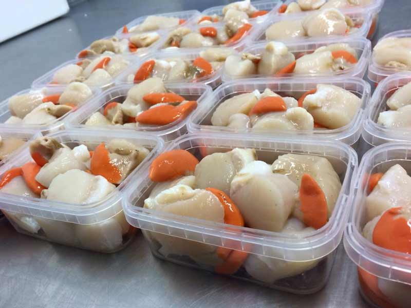 Fresh Scallops Premium Seafood Salmac