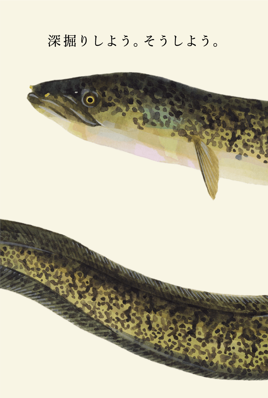 鮭と鰻のWeb図鑑 Web Dictionary of Salmon and Eels 彼らには、海と川を行き来