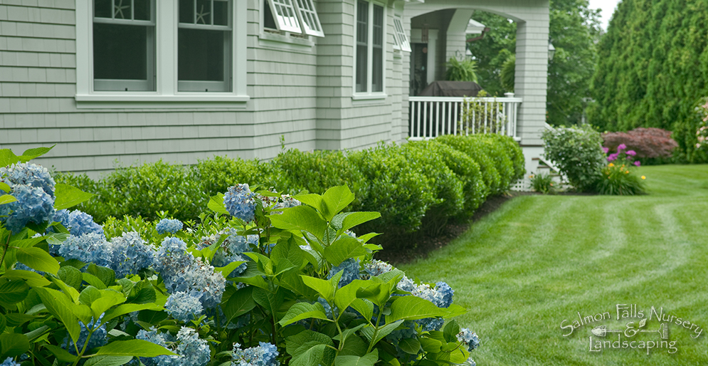 Garden Designers Southern Maine York, Biddeford Pool, Acton