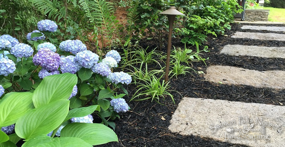 Garden Designers Southern Maine York, Biddeford Pool, Acton