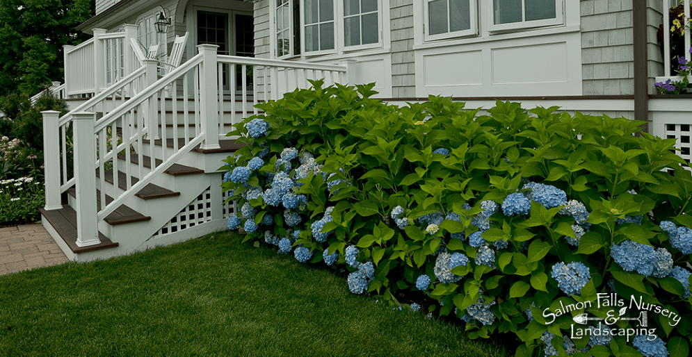 Garden Designers Southern Maine York, Biddeford Pool, Acton