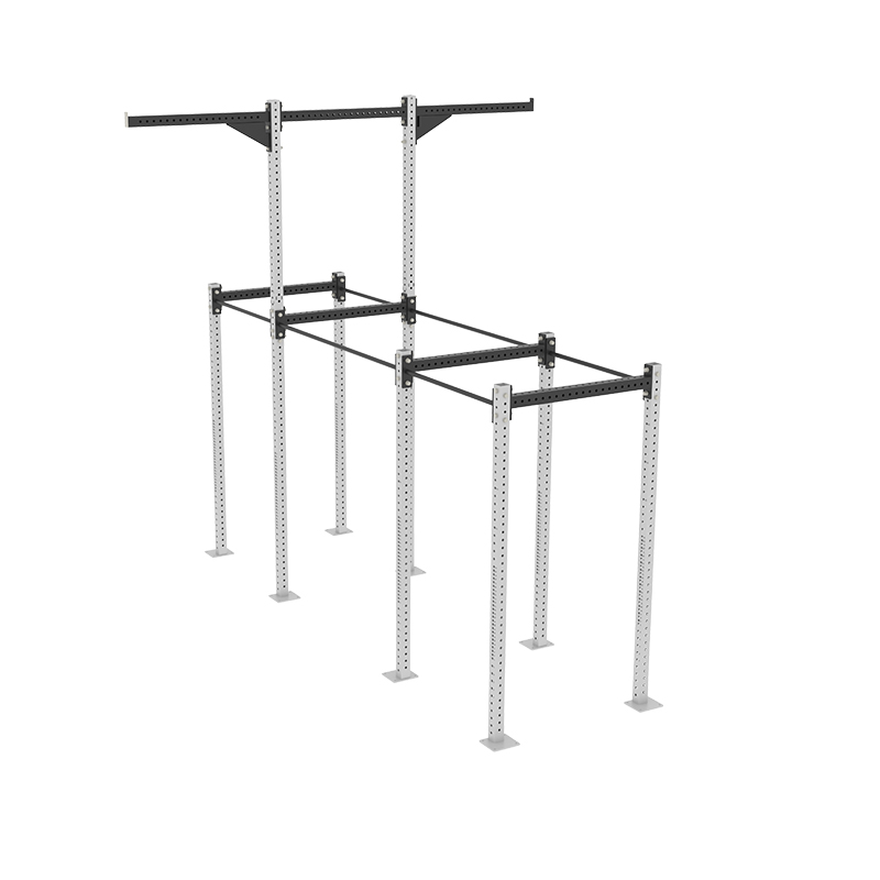 Free standing high rig Salmon Fitness