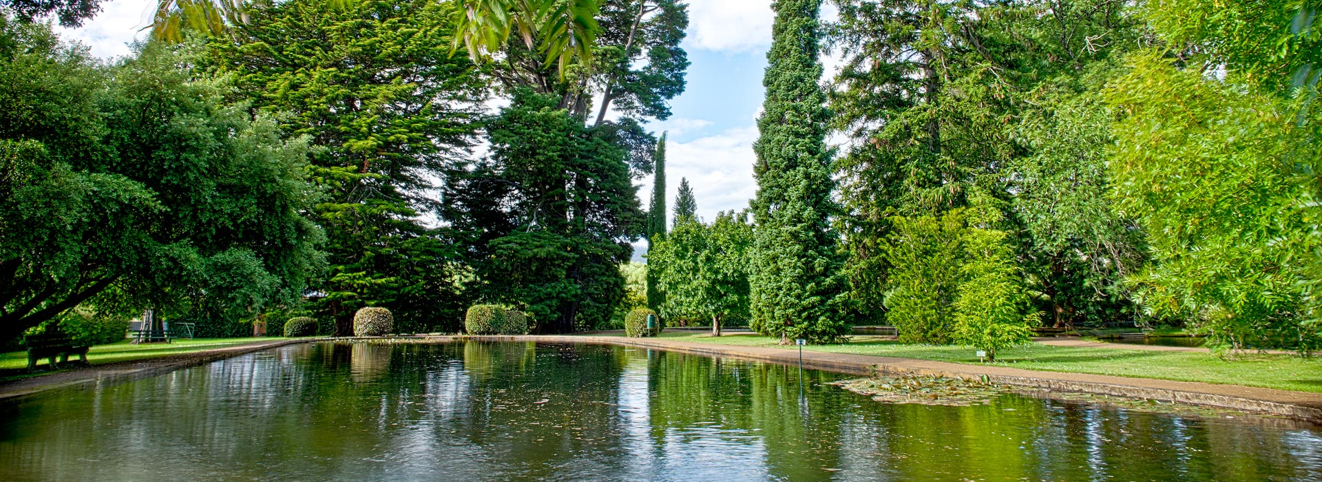 Gardens Salmon Ponds