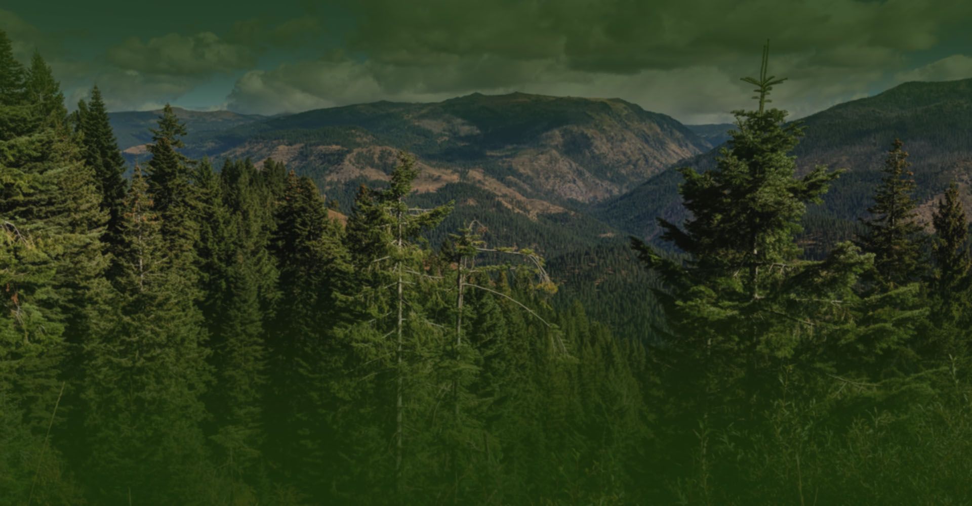 Salmon River Mobile Veterinary Clinic Vet New Meadows, ID