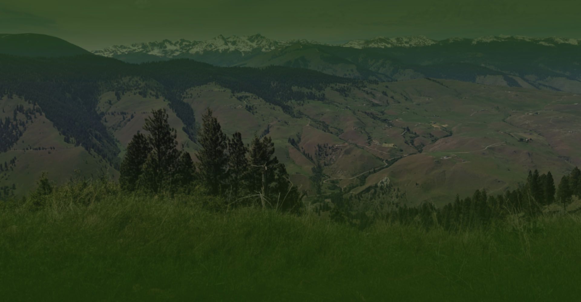 Salmon River Mobile Veterinary Clinic Vet New Meadows, ID