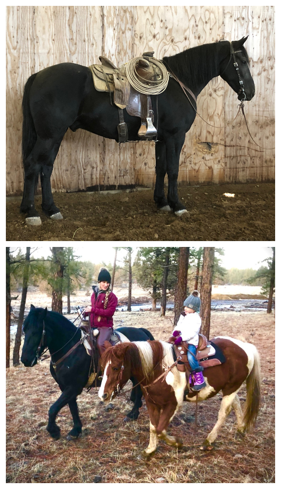 LOT 039 FORD Salmon Select Sale