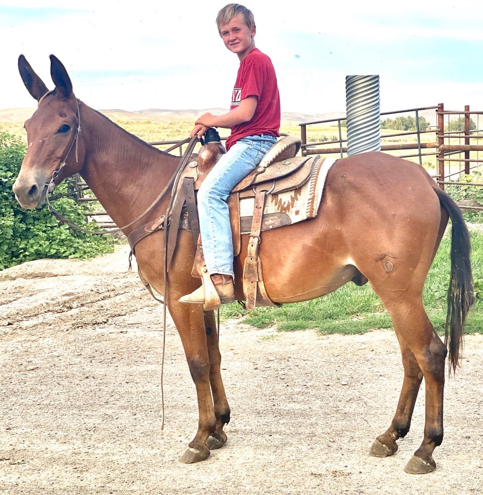 LOT 007 ROPE BURN SOLD 4500 Salmon Select Sale